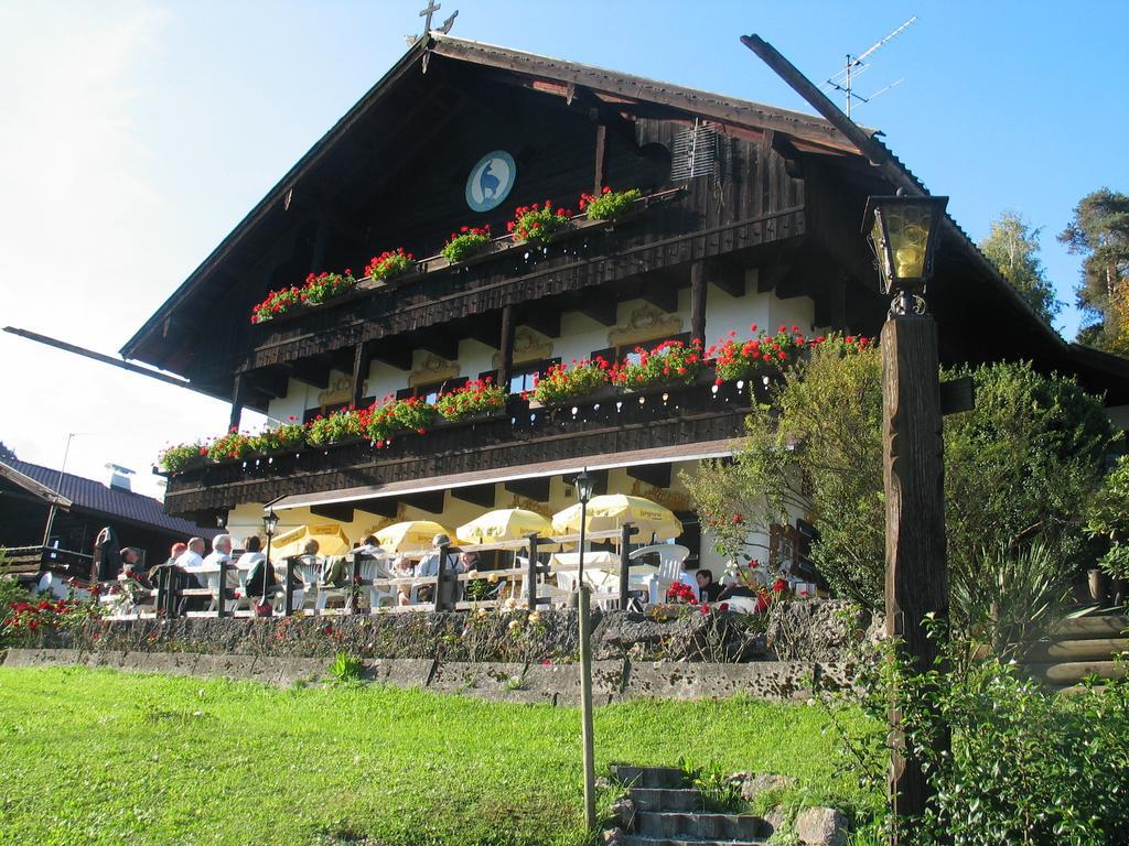 Pension Blauer Gamsbock Киферсфельден Экстерьер фото