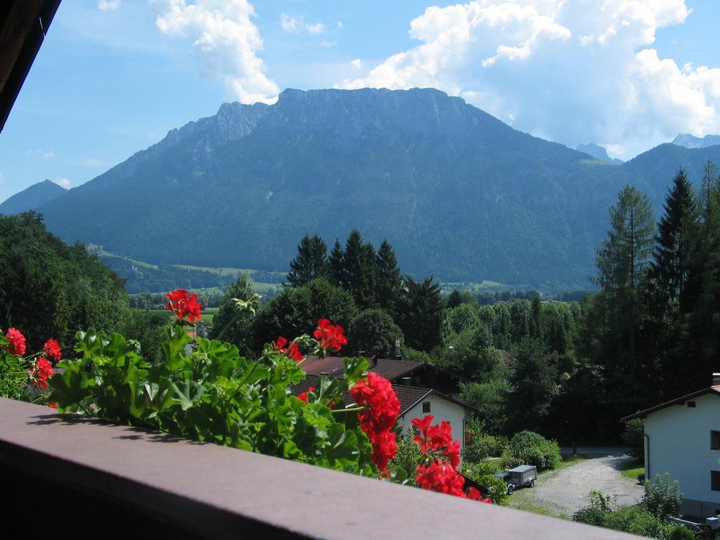 Pension Blauer Gamsbock Киферсфельден Экстерьер фото