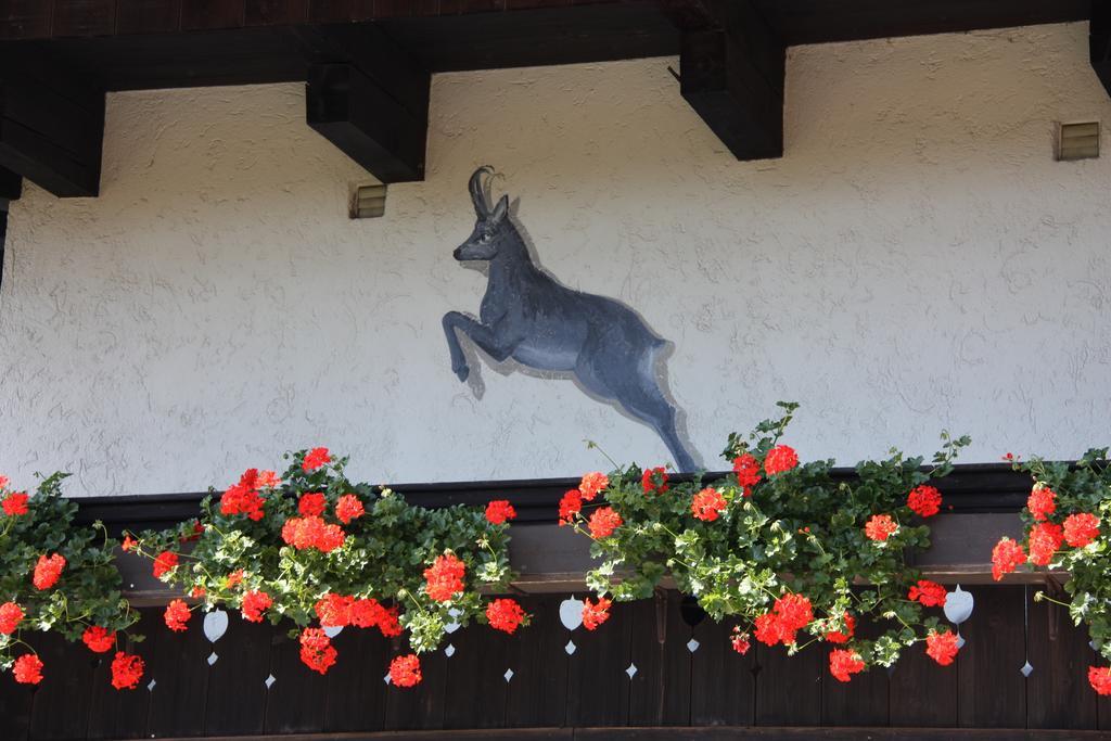 Pension Blauer Gamsbock Киферсфельден Экстерьер фото