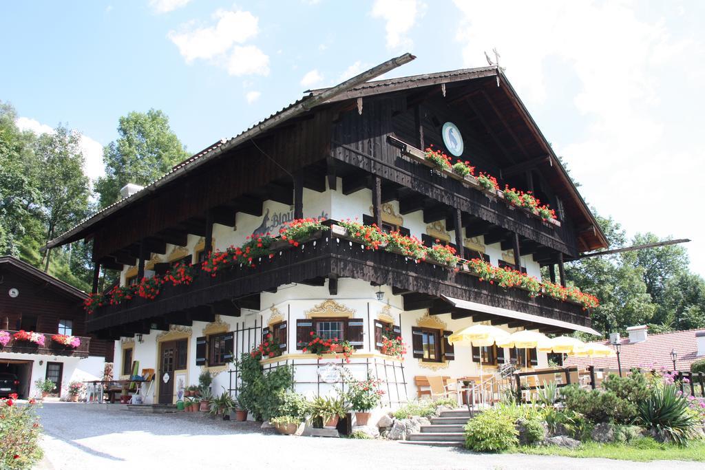 Pension Blauer Gamsbock Киферсфельден Экстерьер фото